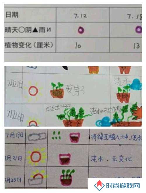重建家园,种植方法分享与绿色生活的实践