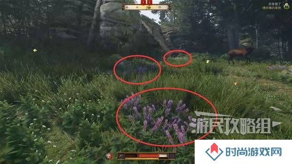 天国拯救2图文攻略大全   所有任务全流程攻略总汇图片29
